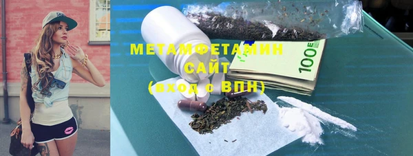 индика Бородино