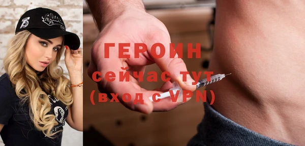 индика Бородино