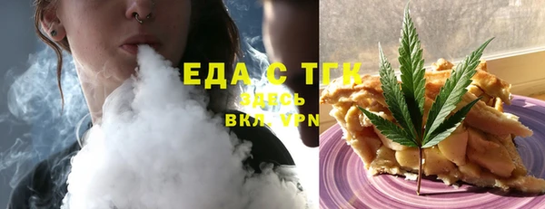 индика Бородино