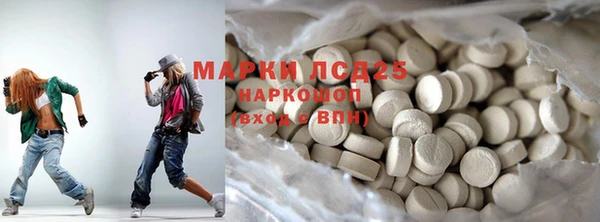 индика Бородино