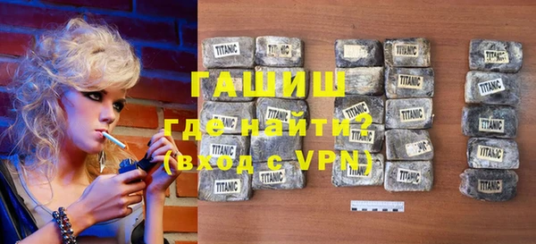 индика Бородино