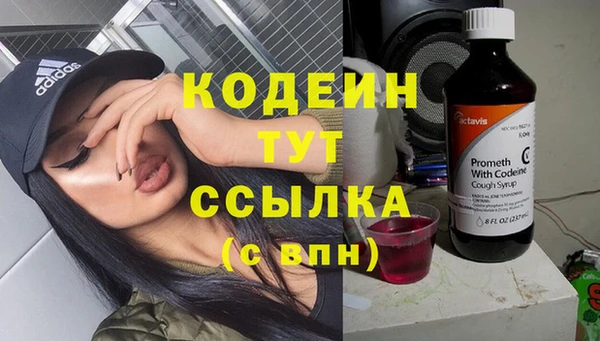 индика Бородино