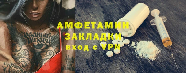 индика Бородино