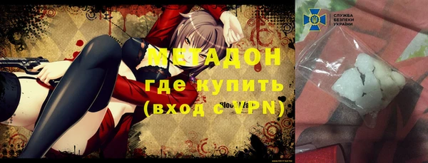 индика Бородино