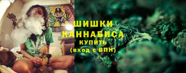 индика Бородино
