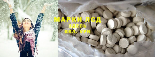 индика Бородино